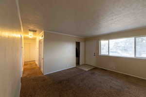 Carpeted empty room featuring ornamental molding and a textured ceiling