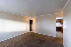 Unfurnished room featuring crown molding and light colored carpet