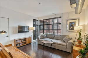 Living room featuring dark hardwood / wood-style floors