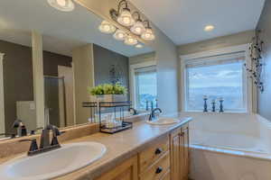 Bathroom featuring vanity, a wealth of natural light, and independent shower and bath