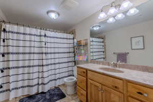 Bathroom with tile patterned flooring, vanity, a shower with shower curtain, and toilet