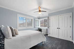 Carpeted bedroom with ornamental molding, a closet, and ceiling fan