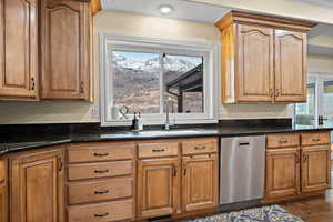 Kitchen featuring dark stone counters, dishwasher, and sink