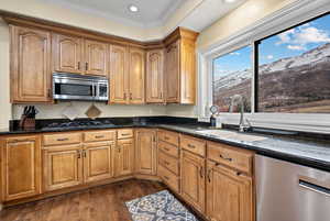 Kitchen featuring appliances with stainless steel finishes, sink, dark hardwood / wood-style flooring, dark stone counters, and a mountain view