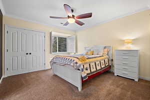 Carpeted bedroom with crown molding, a closet, and ceiling fan