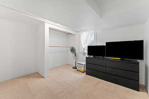 Bedroom featuring light colored carpet