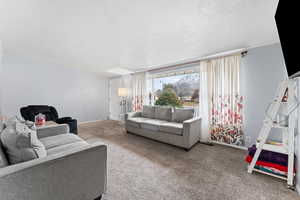 Living room with carpet flooring and a textured ceiling