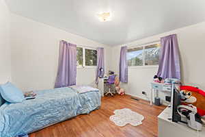 Bedroom with multiple windows, hardwood / wood-style flooring