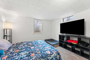 Bedroom with carpet floors and large window