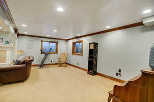 Carpeted living room with crown molding and a fireplace