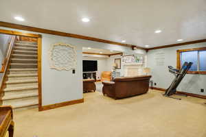 Living room featuring ornamental molding and carpet