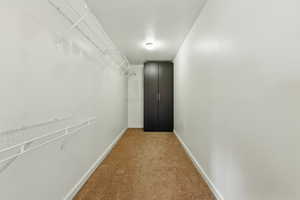 Walk in closet featuring light colored carpet