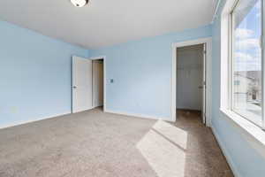 Unfurnished bedroom featuring a spacious closet, carpet floors, baseboards, and multiple windows