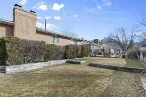 Open backyard for play