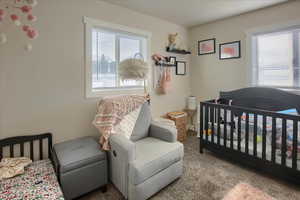 Carpeted bedroom with a nursery area