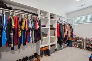 Spacious closet featuring light carpet