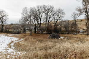 View of snowy landscape