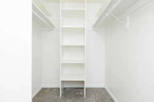 Spacious closet featuring carpet flooring