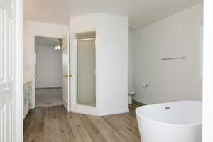 Bathroom featuring wood-type flooring, shower with separate bathtub, and vanity