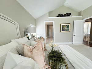 Carpeted bedroom with high vaulted ceiling