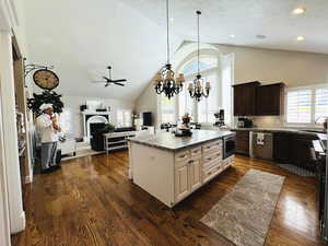 Kitchen featuring a kitchen island, dark hardwood / wood-style floors, dark brown cabinetry, stainless steel appliances, and plenty of natural light