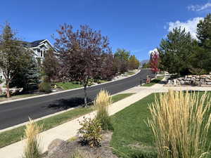 View of street