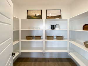 Spacious kitchen pantry.