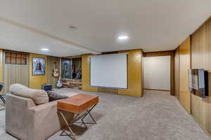 Cinema with light carpet and wood walls