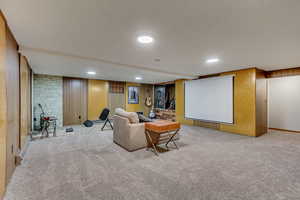 Cinema room featuring light carpet