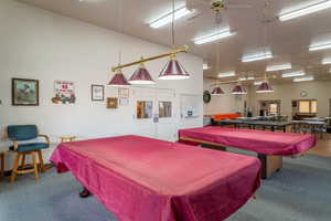 Playroom with carpet floors, pool table, and ceiling fan