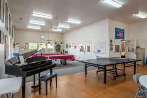 Game room with wood-type flooring, billiards, and a textured ceiling