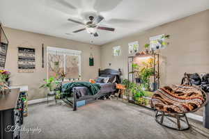 Carpeted bedroom featuring multiple windows and ceiling fan