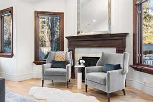 Living area featuring a premium fireplace and light hardwood / wood-style floors
