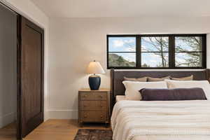 Bedroom with hardwood / wood-style flooring and a closet