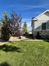 Summer View of Beautiful Trees and landscaping