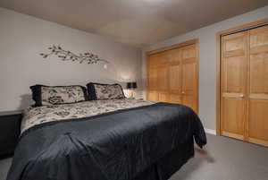 Basement Bedroom 1