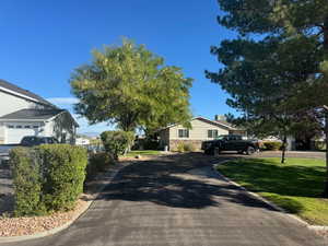 Summer View of mature trees and circular drive