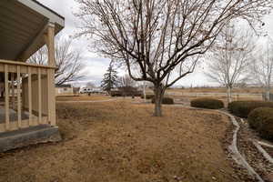 View of yard fully landscaped with automatic sprinkling system and mature trees