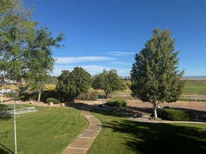 Summer view of landscaping in backyard