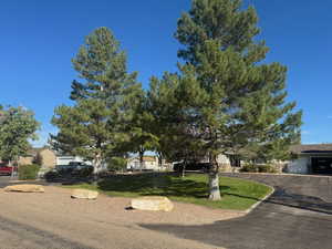 Summer View of front of property