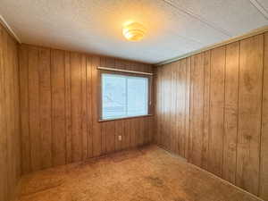 Spare room with wooden walls, carpet, and a textured ceiling