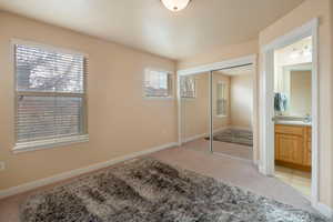 Bedroom featuring multiple windows, carpet floors, sink, and a closet