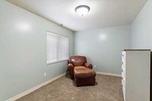 Sitting room with light colored carpet and a textured ceiling