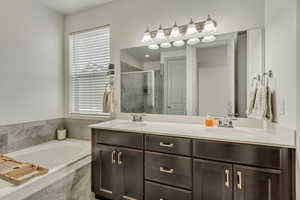 Bathroom with shower with separate bathtub, a healthy amount of sunlight, and vanity