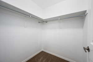 Spacious closet featuring carpet