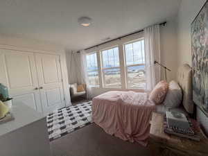 Bedroom with a closet, carpet, and a textured ceiling