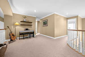 Living area with crown molding and carpet floors