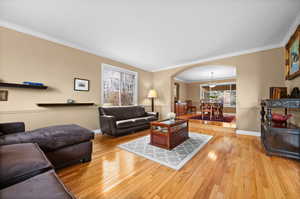 Living room with hardwood / wood-style flooring and ornamental molding