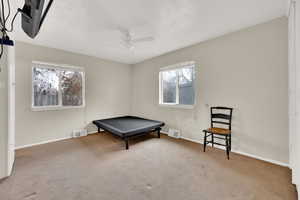 Playroom featuring carpet floors and ceiling fan