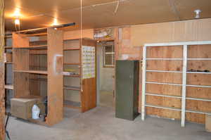 Storage in Garage with shelving